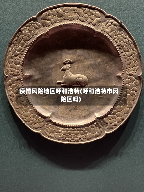 疫情风险地区呼和浩特(呼和浩特市风险区吗)-第3张图片