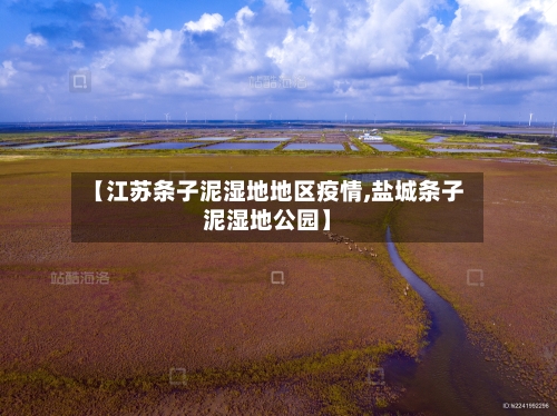 【江苏条子泥湿地地区疫情,盐城条子泥湿地公园】-第1张图片