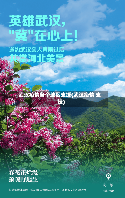 武汉疫情各个地区支援(武汉疫情 支援)-第3张图片