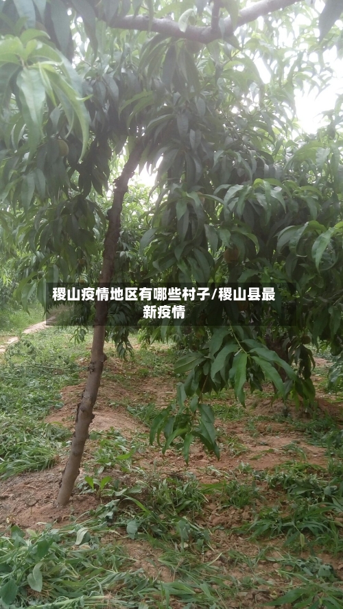 稷山疫情地区有哪些村子/稷山县最新疫情-第2张图片